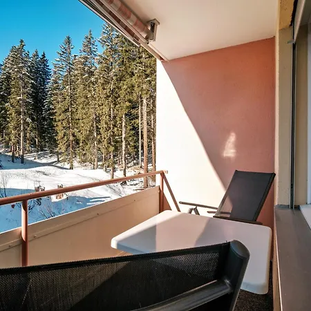 Paradies 303